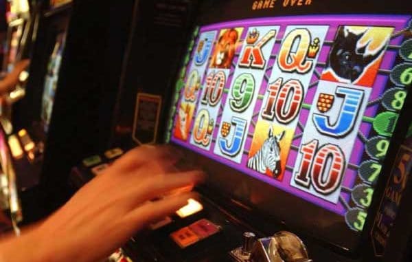 Northland Pokie Machines New Zealand