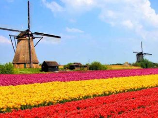 Netherlands Online Gambling