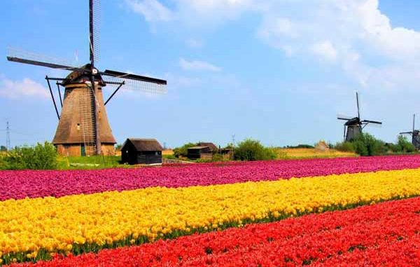 Netherlands Online Gambling
