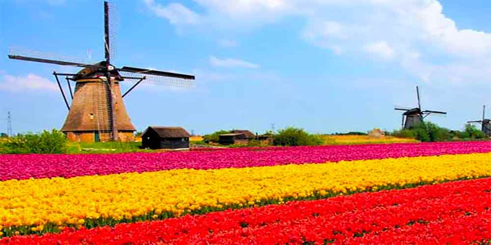 Netherlands Background